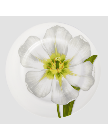 Taitù Set 4 posti tavola Freedom