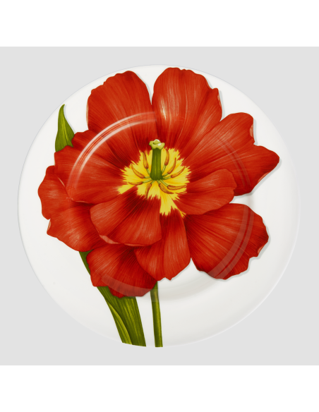 Taitù Set 4 posti tavola Freedom