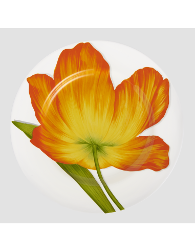 Taitù Set 4 posti tavola Freedom