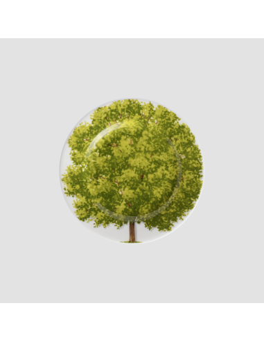 copy of