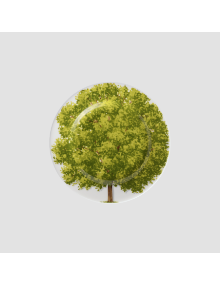 copy of