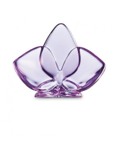 Baccarat Orchid. Purple