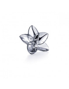 Baccarat Fiore Bloom. Argento
