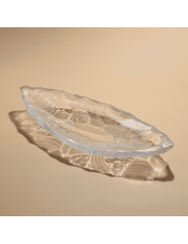 Lalique Coppa Silex Large
