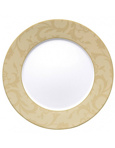 Rosenthal Set 41 pezzi Burned out Velvet