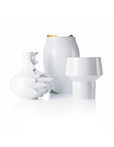 Rosenthal Vaso Fast 22