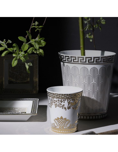 Ginori 1735 Vaso Magnifico Platino 23