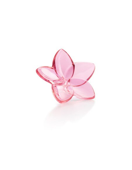 Baccarat Flower Bloom. Rose