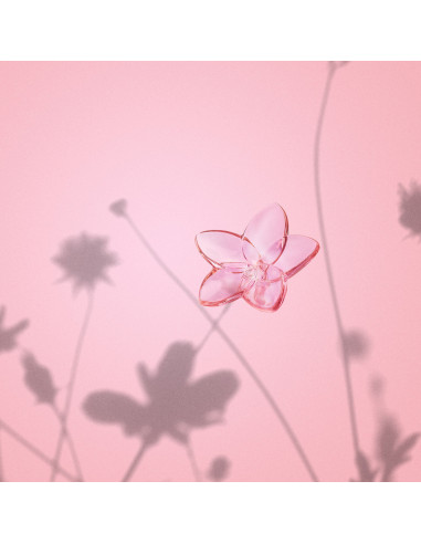 Baccarat Flower Bloom. Rose