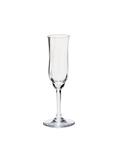 Baccarat Set of 2 Capri Glasses