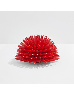 Riccio Caprese Decorativo Riccio 24 2