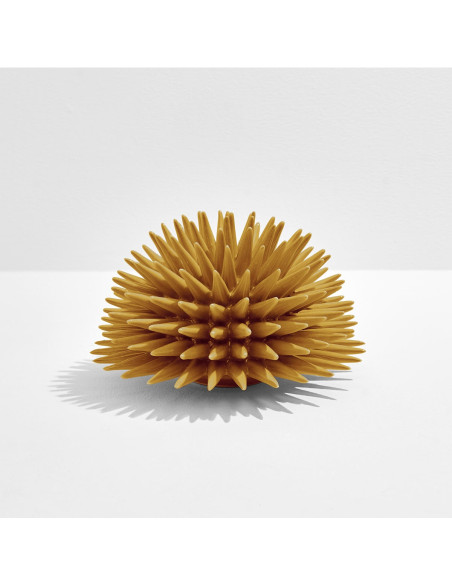 Riccio Caprese Riccio decor 34