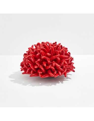 Riccio Caprese Anemone decor 24