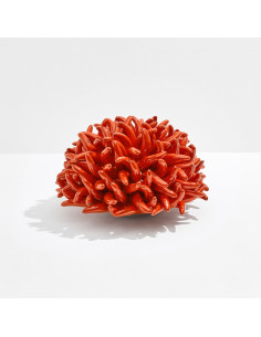 Riccio Caprese Decorativo Anemone 24 2