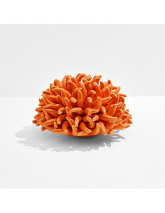 Riccio Caprese Decorativo Anemone 24 2