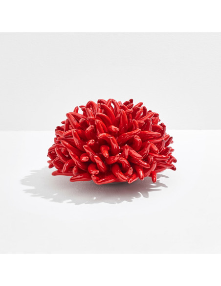 Riccio Caprese Anemone decor 34