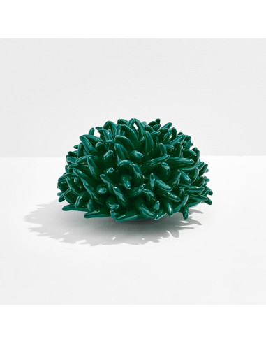 Riccio Caprese Anemone decor 34