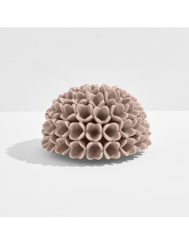 Riccio Caprese Dalia decor 34