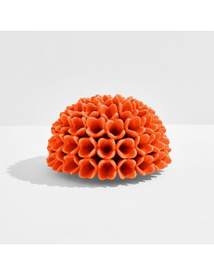 Riccio Caprese Decorativo Dalia 34 2